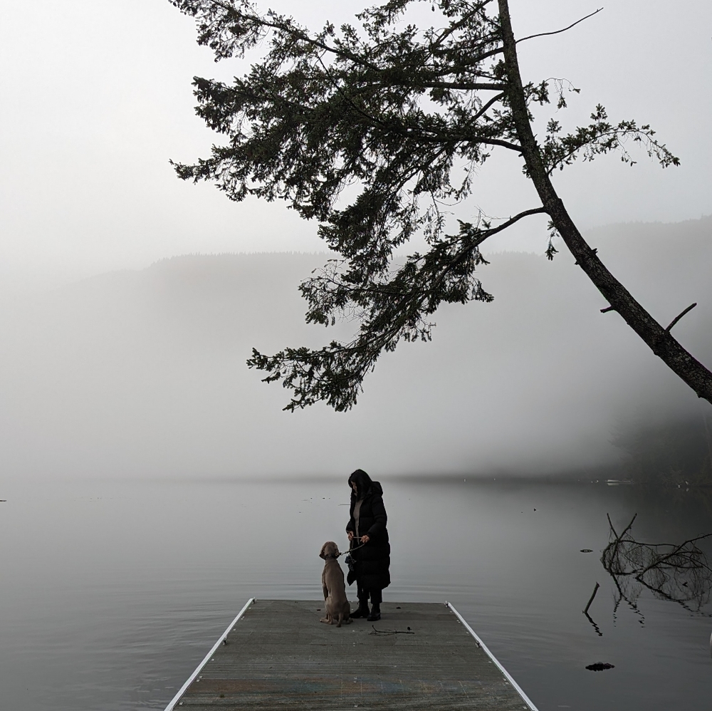 Meet your Posher, Ivy